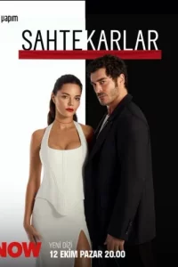 Мошенники турецкий сериал